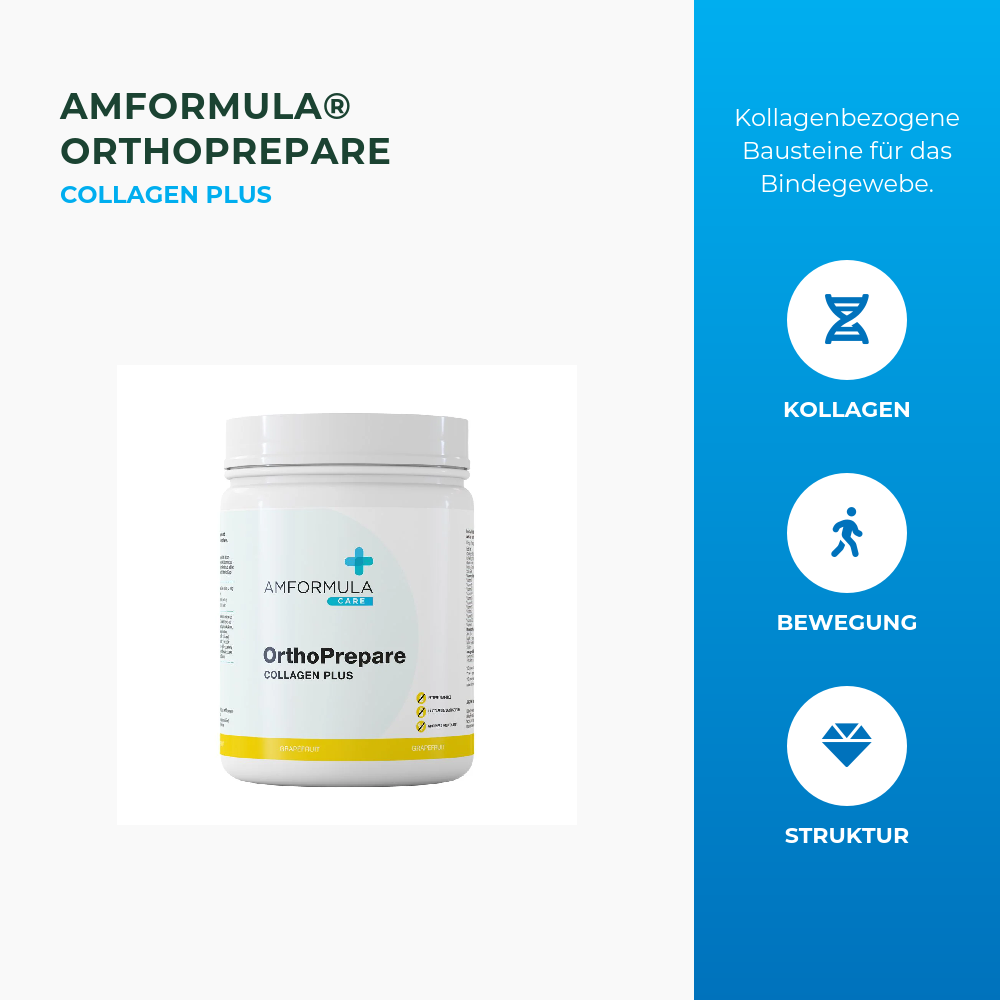 Struktur und Beweglichkeit