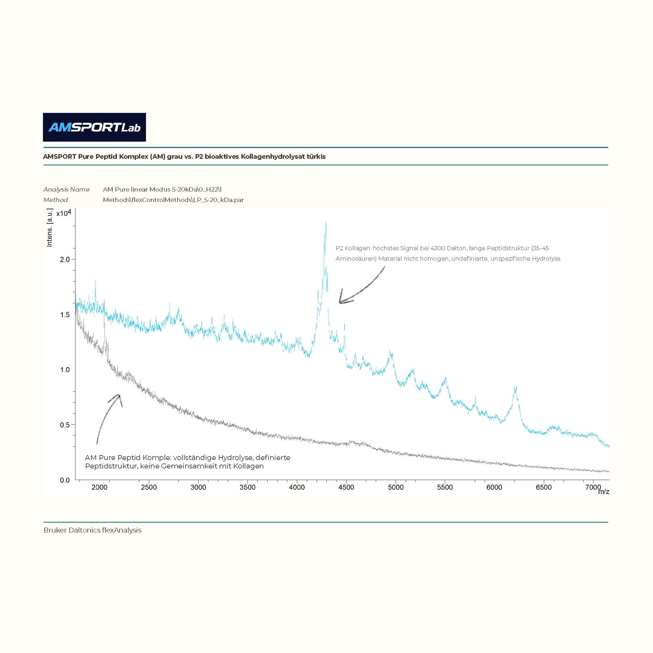 AMSPORT Aminosäuren Weltmeisterformel EVO 11