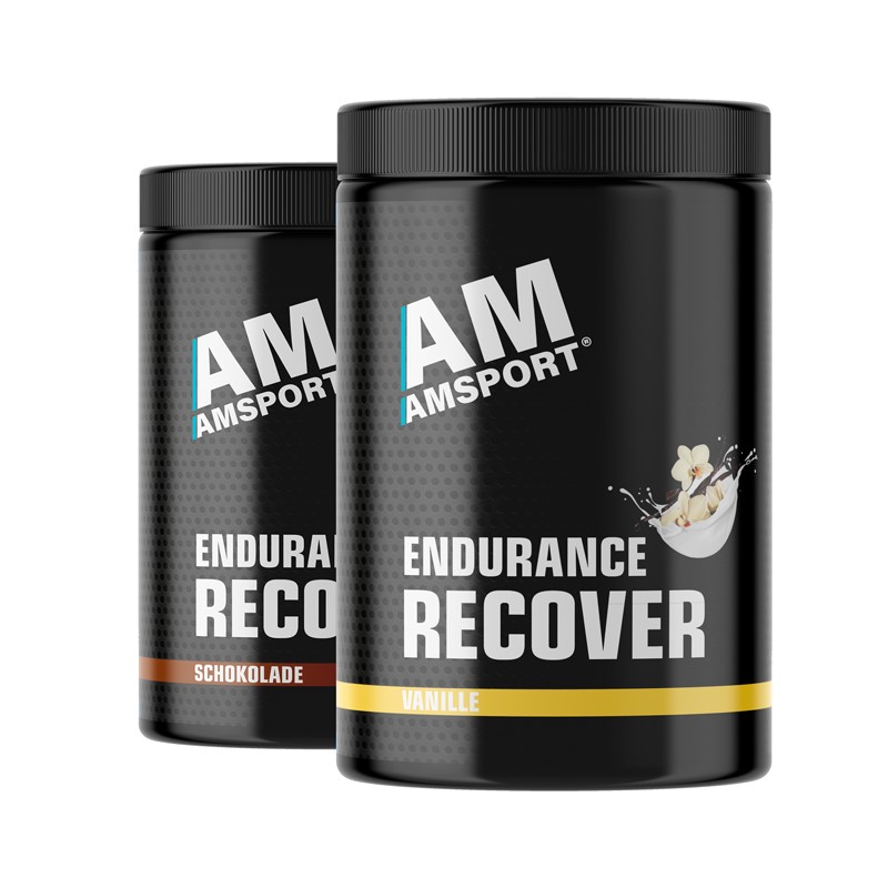 AMSPORT Endurance Recover Shake 600 g